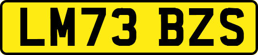 LM73BZS