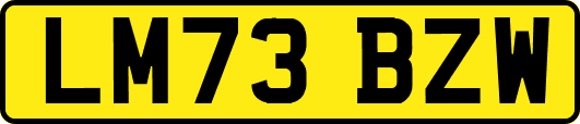LM73BZW
