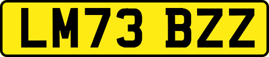 LM73BZZ