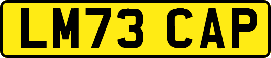 LM73CAP