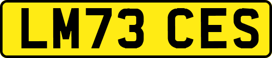 LM73CES