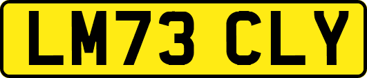 LM73CLY