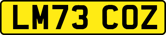 LM73COZ