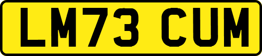 LM73CUM