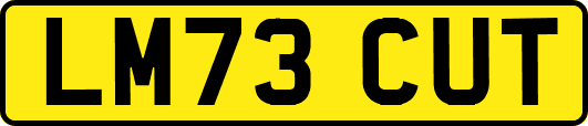 LM73CUT