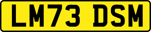 LM73DSM