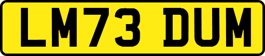 LM73DUM