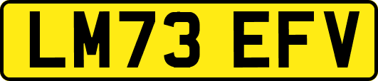 LM73EFV