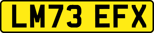 LM73EFX