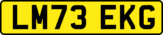 LM73EKG