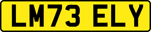 LM73ELY