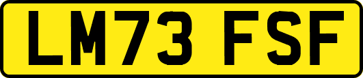 LM73FSF