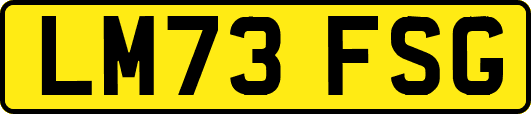 LM73FSG