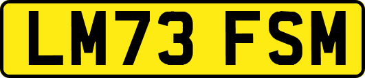 LM73FSM