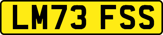 LM73FSS