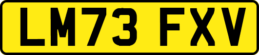 LM73FXV