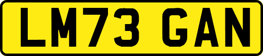 LM73GAN