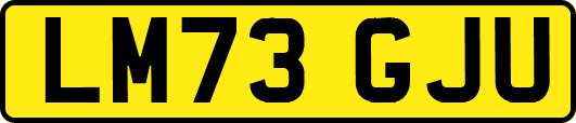 LM73GJU
