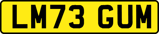 LM73GUM