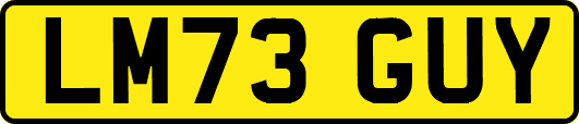 LM73GUY
