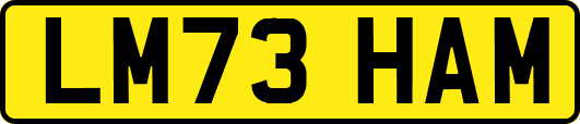 LM73HAM