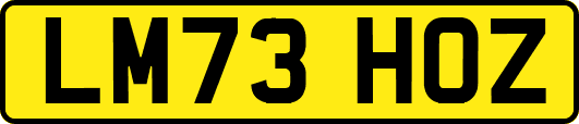 LM73HOZ