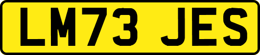 LM73JES