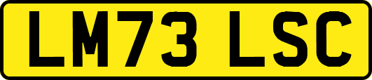 LM73LSC