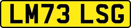 LM73LSG