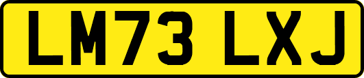 LM73LXJ