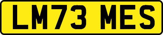 LM73MES
