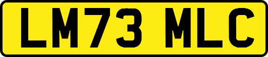LM73MLC