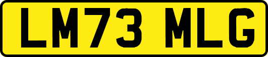 LM73MLG