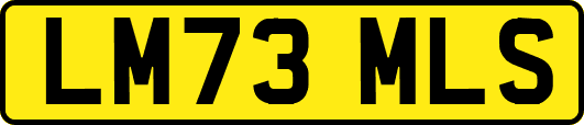 LM73MLS
