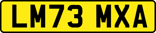 LM73MXA