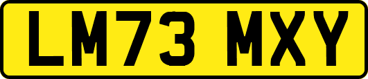 LM73MXY