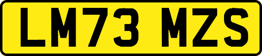 LM73MZS
