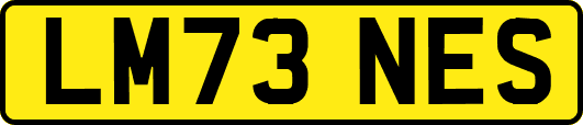 LM73NES