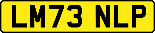 LM73NLP