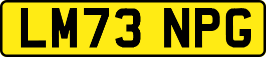 LM73NPG