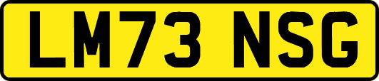 LM73NSG