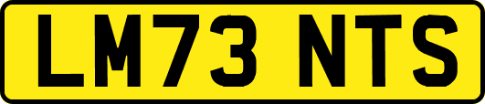 LM73NTS