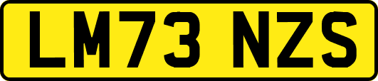 LM73NZS