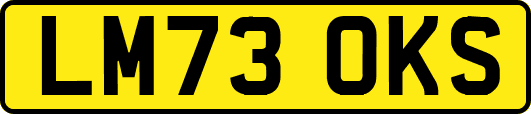 LM73OKS