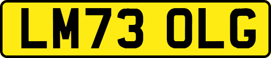 LM73OLG
