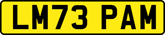 LM73PAM