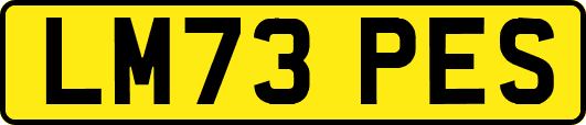 LM73PES