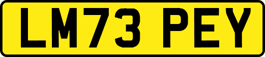 LM73PEY