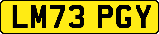 LM73PGY