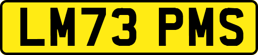 LM73PMS